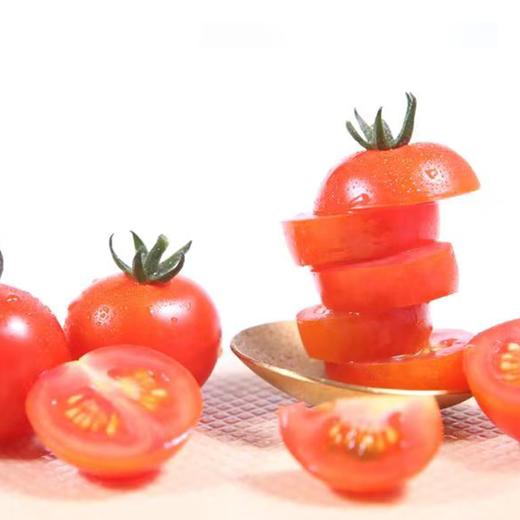 春沐源【高原七彩番茄】高原串收小番茄带枝串茄新鲜圣女果西餐摆盘红色小串茄顺丰包邮 商品图1