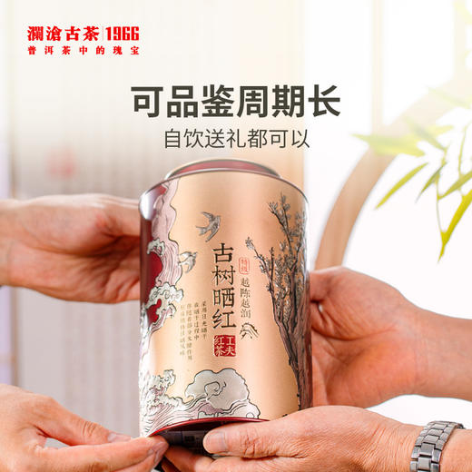 澜沧古茶 2022年古树晒红250g 商品图3