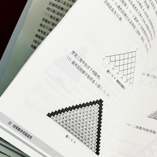 初等数学名题鉴赏 中学生数学文化丛书 数学科普书籍 丛书主编谢明初 初中数学 正版 华东师范大学出版社 商品图10