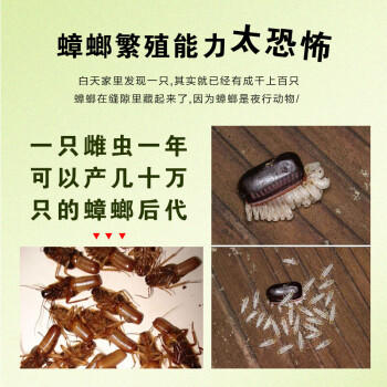 CHEIR杀虫剂灭蚊基孔肯雅热水杀蟑螂药除螨虫驱蚊除菌无味杀虫剂600ml 商品图5