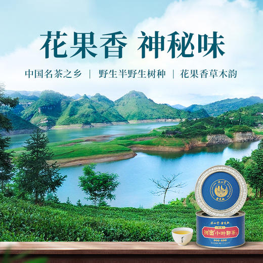 正山堂 古丈红湘西小叶野茶 特级湖南野生红茶茶叶罐装50g 商品图1