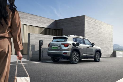 100元抢1000元购车现金抵扣券，无条件无门槛，直接抵扣购车款—— 怀化市生晖汽车销售服务有限公司 商品图4