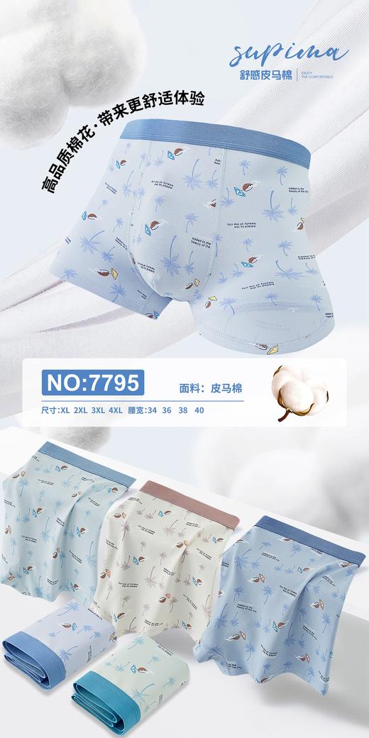 男士皮马棉净色印花包头明筋内裤7792/7793/7795/6647/8750/6656/9569/7815 商品图13