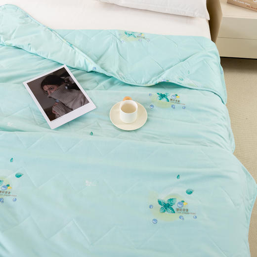 杉杉（FIRS）薄荷凉凉柔润被180×210cm 商品图4