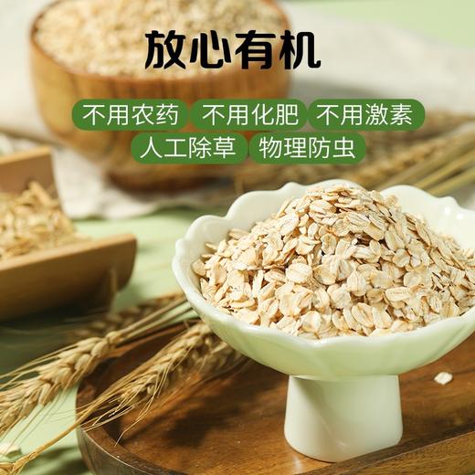 【有机燕麦片 检测SGS308项农残0检出】选用当季新粮 颗粒饱满 1袋1码全程有机可溯源即食谷物300g/袋 商品图4