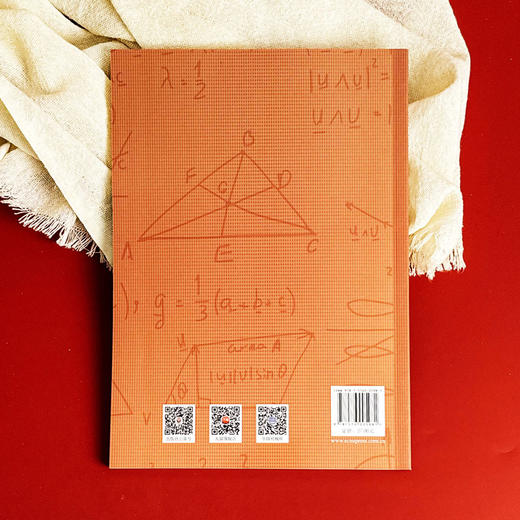 初等数学名题鉴赏 中学生数学文化丛书 数学科普书籍 丛书主编谢明初 初中数学 正版 华东师范大学出版社 商品图2