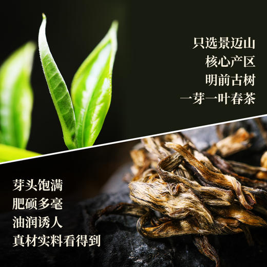 澜沧古茶 2023年001大饼400g 商品图1