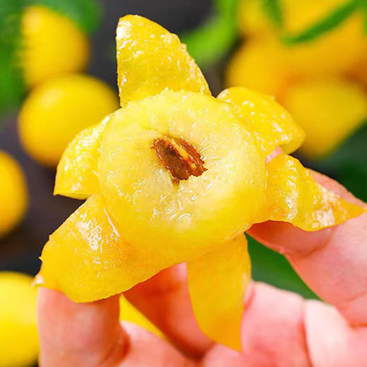 新疆轮台小白杏 新鲜水果现摘甜杏 礼盒装3斤 送礼佳品  顺丰包邮 商品图4