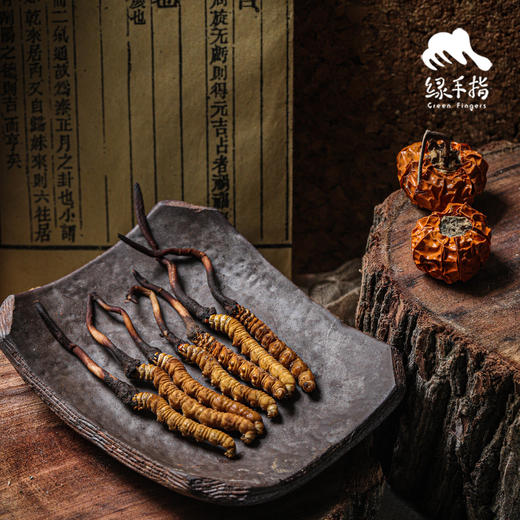 野生那曲高海拔新鲜冬虫夏草【满50条包邮】 | 合作生产* Naqu Cordyceps sinensis | | Coproduction 商品图2