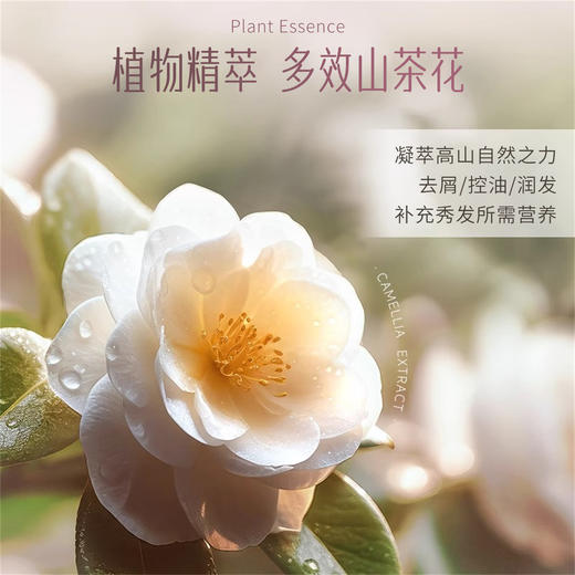 安安金纯山茶花蓬松去屑止痒洗发露750g 商品图2