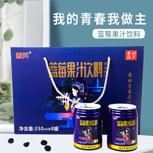 D蓝瑞蓝莓果汁250ml(原汁含量68%） 商品图0