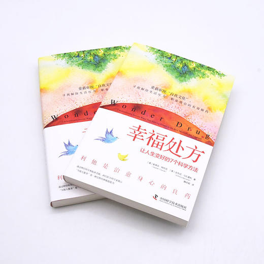 幸福处方 让人生变好的7个科学方法 商品图1