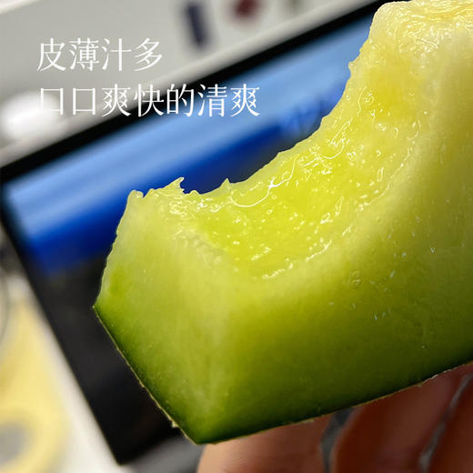 【海阳网纹瓜】一瓜两吃 可脆可软 脆吃清新爽口 放几天吃甜润多汁 细嫩无渣 一口甜蜜润心~1箱2个装 商品图2