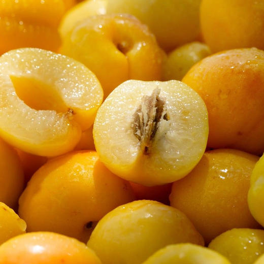 新疆轮台小白杏 新鲜水果现摘甜杏 礼盒装3斤 送礼佳品  顺丰包邮 商品图6