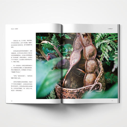 风味人间 谷物星球（陈晓卿导演美食纪录片官方授权图书） 商品图6