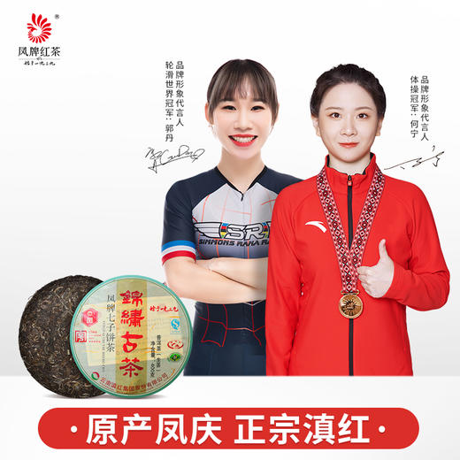 生茶古树纯料 凤牌锦绣古茶400g七子饼茶叶 商品图0