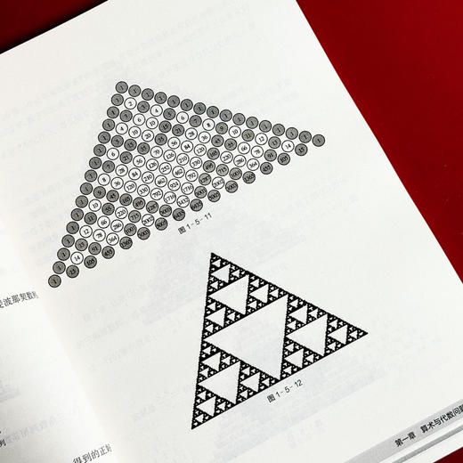 初等数学名题鉴赏 中学生数学文化丛书 数学科普书籍 丛书主编谢明初 初中数学 正版 华东师范大学出版社 商品图11