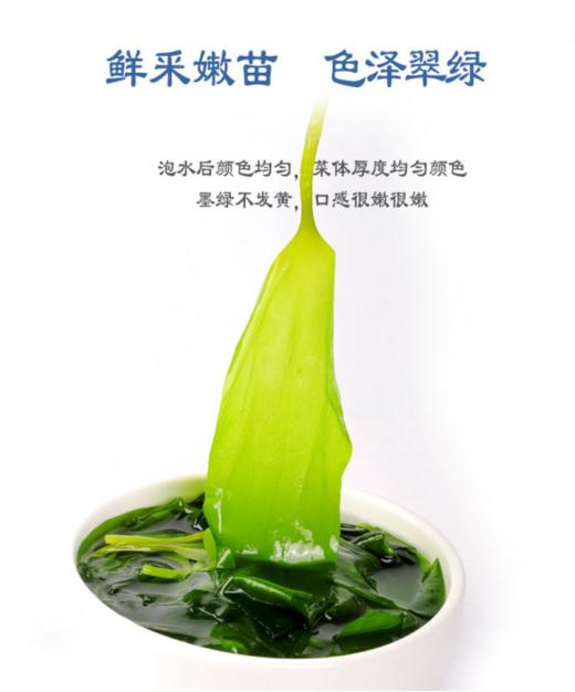 🔥🔥【阿霞霞浦盐渍海带苗S5562】✅清热解毒、补气益血、消暑滋阴🌸 商品图1