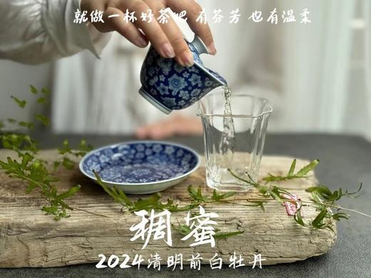 【白茶礼盒装】2024清明前白牡丹滋味稠蜜、汤水柔润、花香清丽，在喉间，开出了一朵朵炫烂的春日之花 商品图8