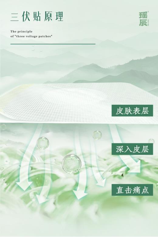 ✌【到手6盒】瑶辰三伏贴：南阳张仲景中医研究院联合研发🌿 商品图1