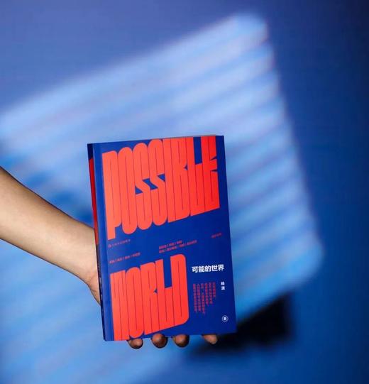 杨潇《可能的世界》2024豆瓣年度图书 商品图0