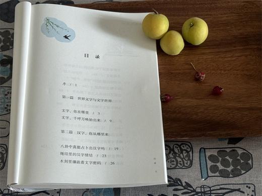 《了不起的汉字》 商品图4