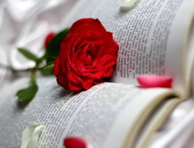 天干五合看婚姻模式