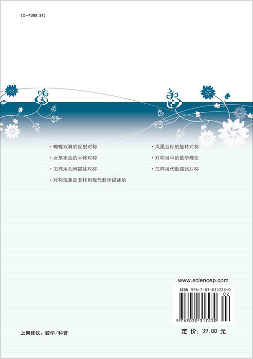 对称中的数学 商品图1