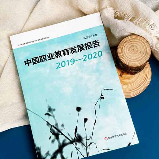 中国职业教育发展报告 2019—2020 石伟平主编 商品图4