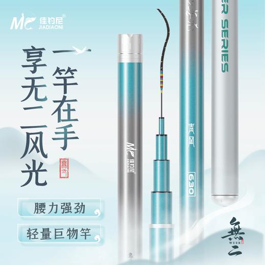 佳钓尼无二青冈轻量巨物竿湖库大物竿高碳台钓竿 商品图0