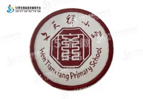 通版深圳市福田区文天祥小学织唛校徽布标姓名贴章可缝烫现货发51