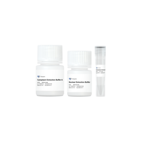 Nuclear and Cytoplasmic Extraction Kit