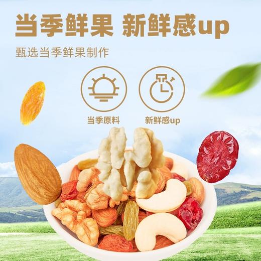 含羞草罐装每日坚果500g 商品图3