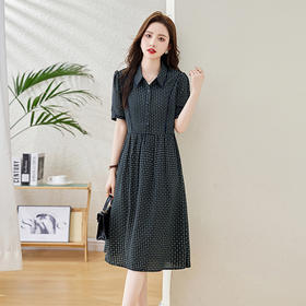 HRWG59759 2024年夏季上新简约大方干练印花设计遮肉显瘦舒适清凉翻领连衣裙