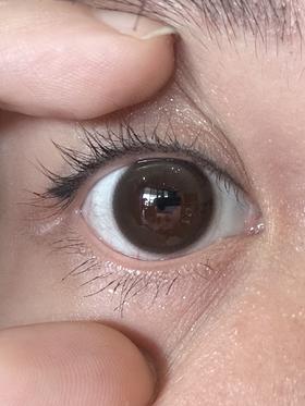 bennycat月抛美瞳 水光咖珠 14.2mm