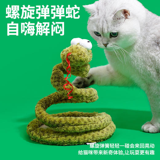 zeze螺旋蛇-B （包邮） 商品图2