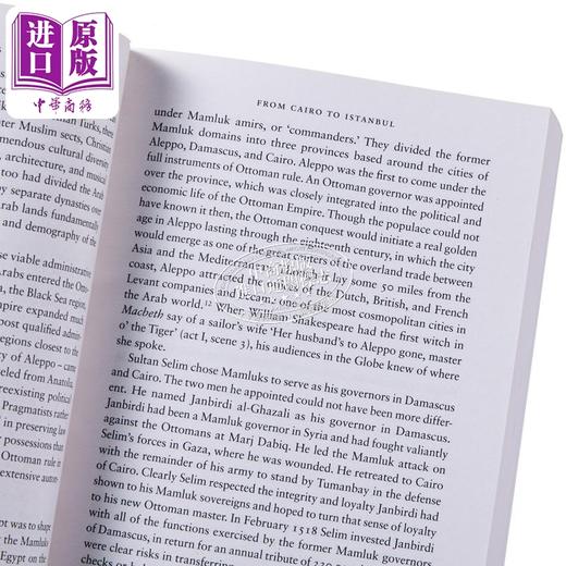 预售 【中商原版】尤金 罗根 征服与革命中的阿拉伯人 1516年至今 修订更新版 The Arabs A History  Eugene Rogan 历史 商品图4