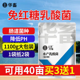 华畜水产乳酸菌1.1kg 复合菌种肠道健康呼吸好