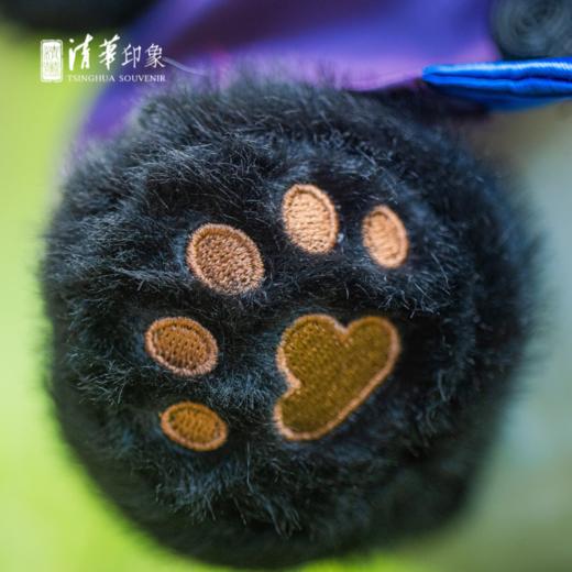 清华文创熊猫玩偶毕业版 商品图7