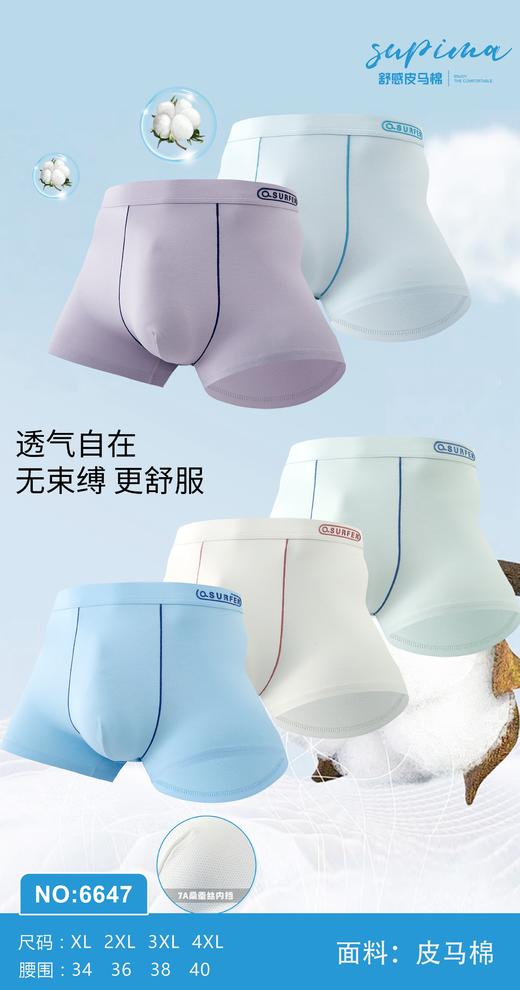 男士皮马棉净色印花包头明筋内裤7792/7793/7795/6647/8750/6656/9569/7815 商品图10