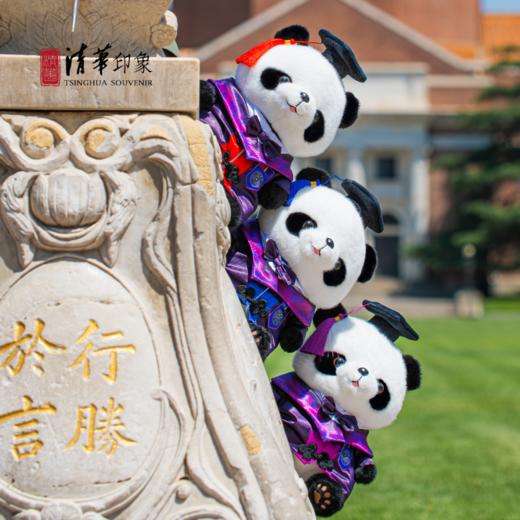 清华文创熊猫玩偶毕业版 商品图0