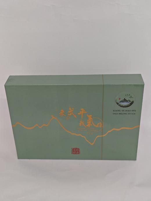 L伴手礼武平绿茶（大）60g/盒(12泡) 商品图4