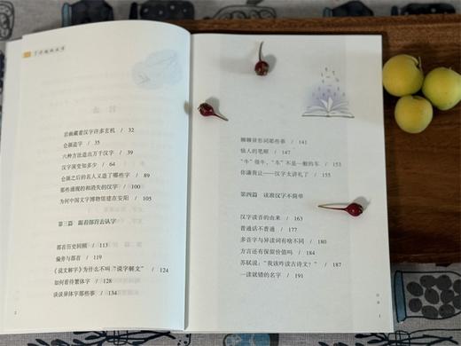 《了不起的汉字》 商品图5