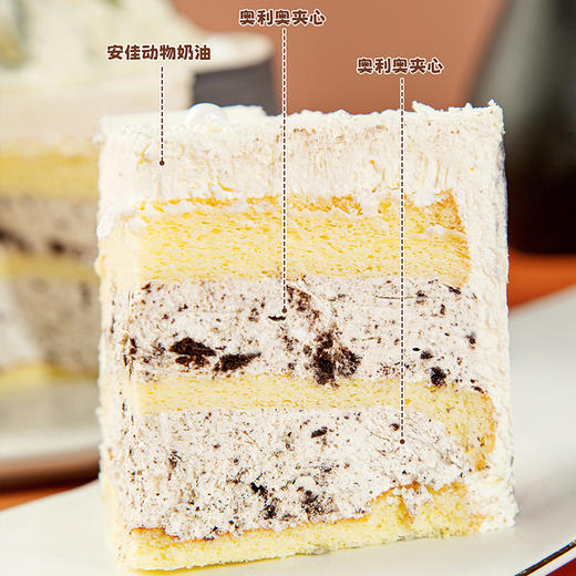 父爱如山 商品图3