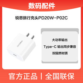 锐思20W P02C PD充头