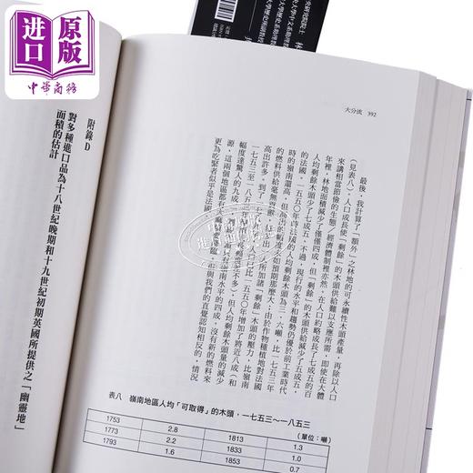 【中商原版】大分流：现代世界经济的形成，中国与欧洲为何走上不同道路？ 港台原版 彭慕兰 卫城出版 商品图6