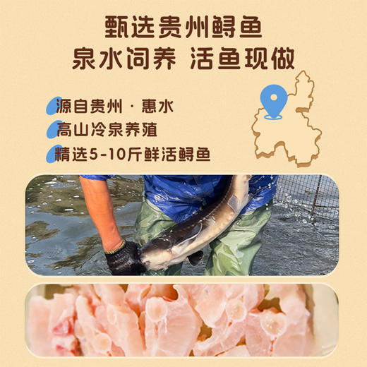 L鲟乡记鲟龙鱼鱼骨儿童营养面298g 商品图5
