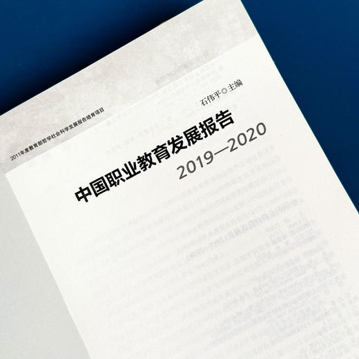 中国职业教育发展报告 2019—2020 石伟平主编 商品图5