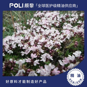 西班牙进口有机百里酚百里香精油原料 单方精油香薰 按摩护肤精油批发
