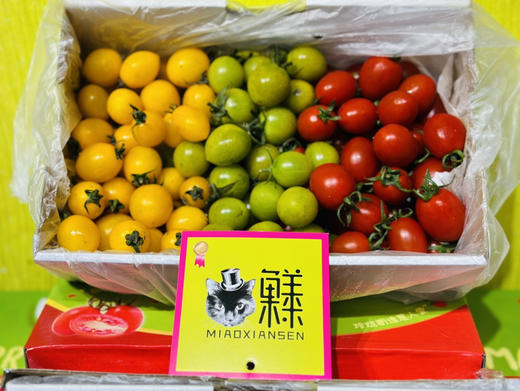 【小时达】红绿灯🚥三色千禧小番茄 商品图4